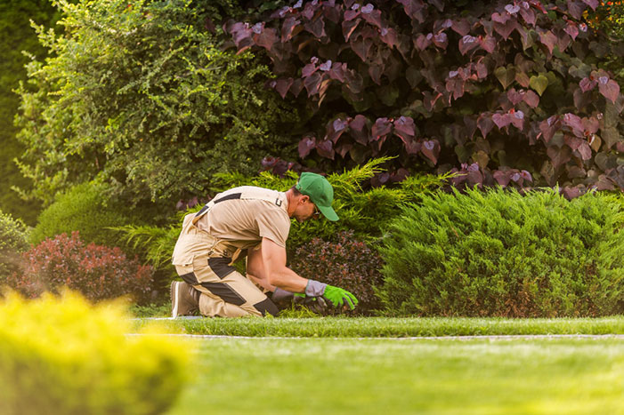 Landscaping Maintenance