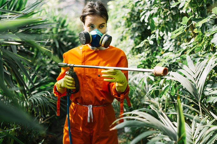 Weed Control & Insect Control